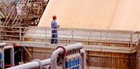 Development Council for Pulp Paper & Allied Industries