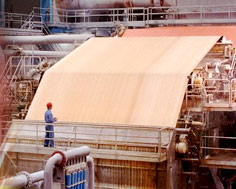 Development Council for Pulp Paper & Allied Industries
